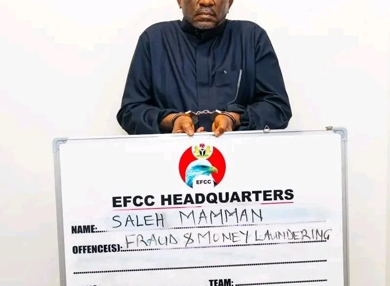 apc chieftain links ex power minister adelabus failure to saleh mammans fraud