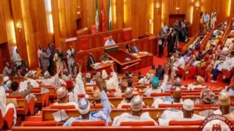 borno oyo attacks students abduction is attack on nigerias future senate