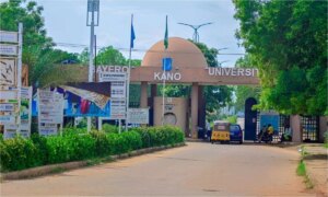 buk announces fresh window for nelfund applications
