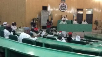 kano assembly calls for urgent action over tomato pest outbreak