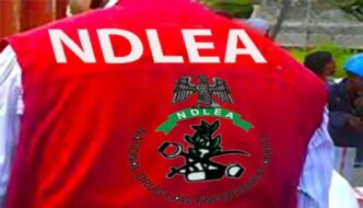 ndlea arrests 3 pwds for drug trafficking uncovers n5 8bn loud