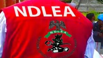 ndlea smashes nigerian mexican meth cartel arrests three mexicans others