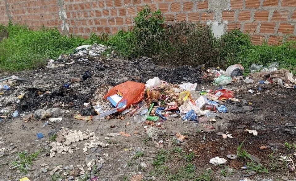 ogun govt shuts automobile assembly plant for waste burning