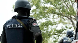 police arrest 149 suspected thugs in kano recover arms