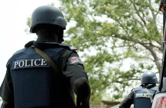 police arrest 149 suspected thugs in kano recover arms