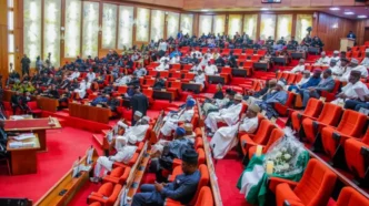senate moves to tackle food insecurity through modernisation of agriculture education