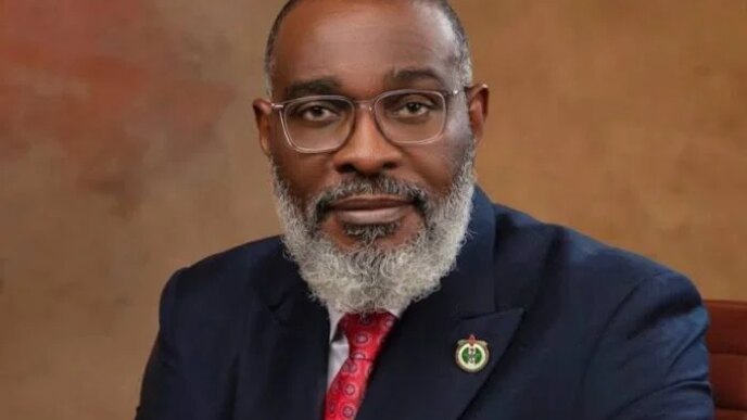 tinubu names fadewa homeland security adviser