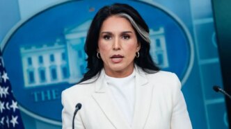 tulsi gabbard resigns as us director of national intelligence