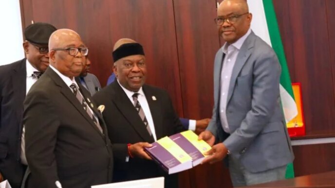 wike urges professional bodies to focus less on public criticism but more on attracting devt