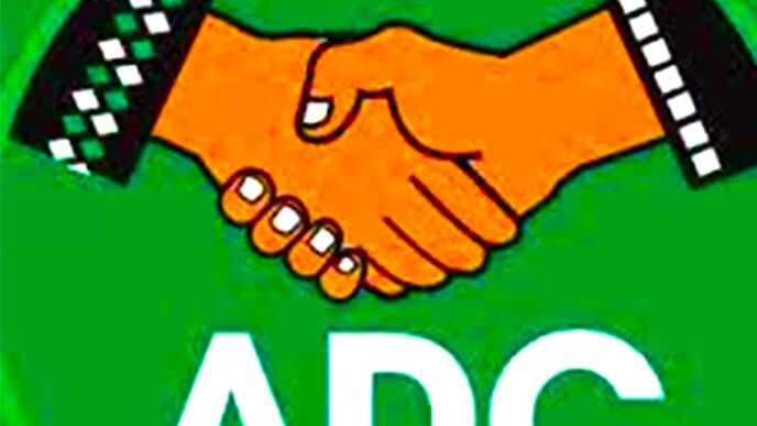 adamawa adc governorship aspirant drags party inec to court over primary election