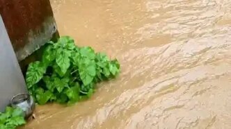 heavy rain triggers first flash floods in adamawa communities