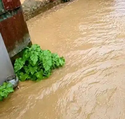 heavy rain triggers first flash floods in adamawa communities