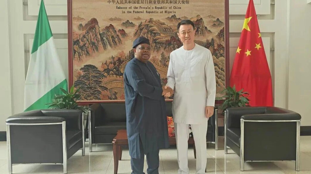 nigeria seeks partnership with china on power infrastructure