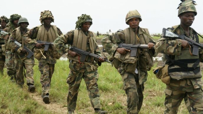 nigerian army arrests 10 terrorists informants in niger