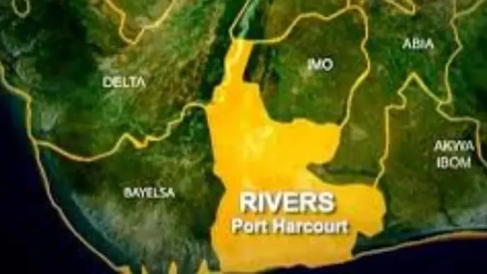 businesswoman hospitalised after alleged assault by council taskforce in rivers
