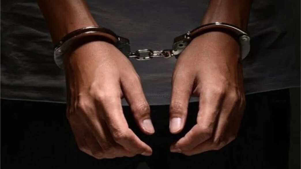 customs arrests suspected wildlife trafficker rescues baby gorilla in kano