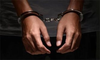customs arrests suspected wildlife trafficker rescues baby gorilla in kano