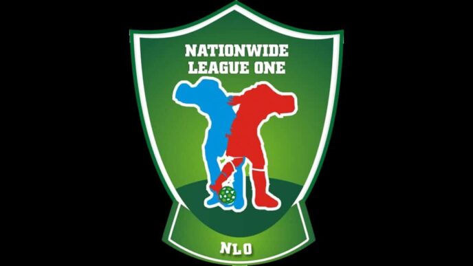 nlo enyimba stadium to host south southsouth east promotion playoffs