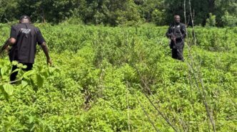 police rescue kidnapped mother two year old son in kwara