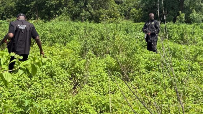 police rescue kidnapped mother two year old son in kwara