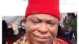 xenophobia nigeria wont collapse if we send south african businesses away umeh
