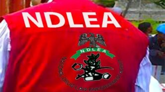 NDLEA 1