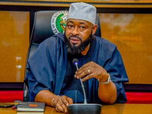 Niger Governor Bago