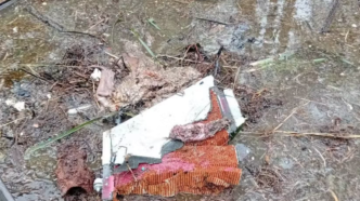 Ondo crash