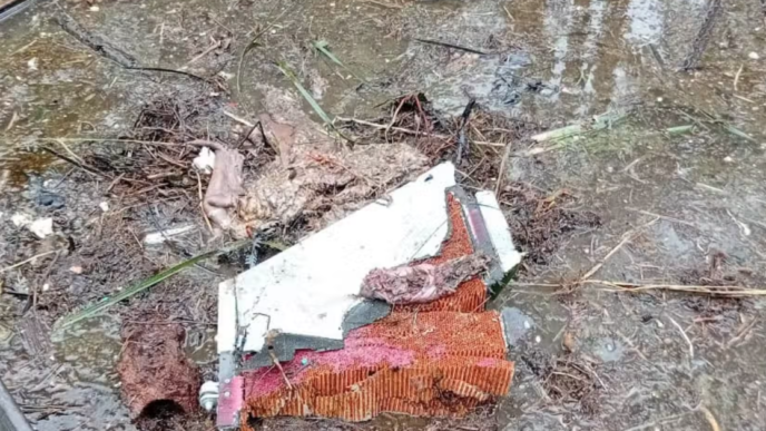 Ondo crash