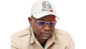 SSANU President Muhammed Ibrahim